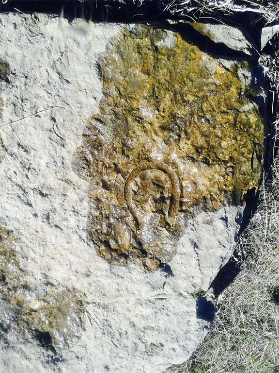 nal define işareti anlamı ve çözümü nal define işareti anlamı ve çözümü